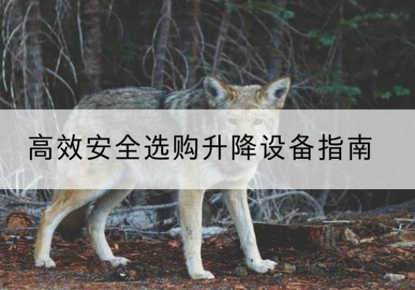 辽中升降货梯厂家推荐-*安全选购升降设备指南