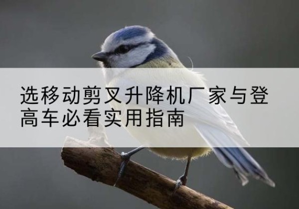 辽中电动升降机厂家-选移动剪叉升降机厂家与登高车必看实用指南