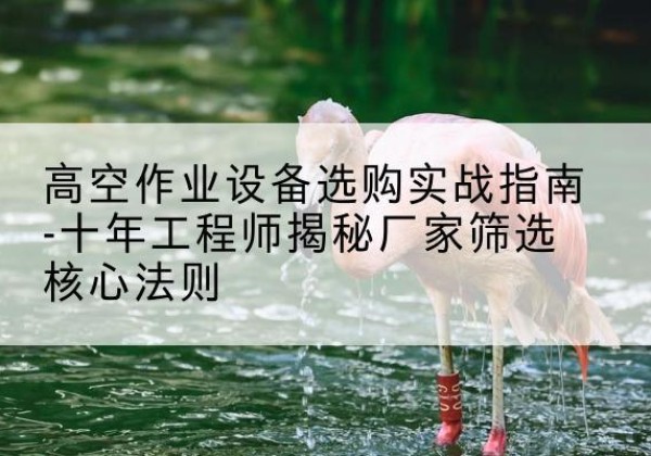 辽中剪叉式升降机厂家-高空作业设备选购实战指南-十年工程师揭秘厂家筛选核心法则